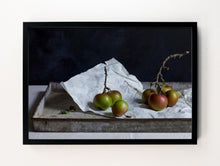 Load image into Gallery viewer, Apples on Paper
