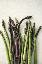 Load image into Gallery viewer, Asparagus Portrait
