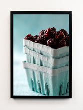 Load image into Gallery viewer, Blackberries in Faded Cartons
