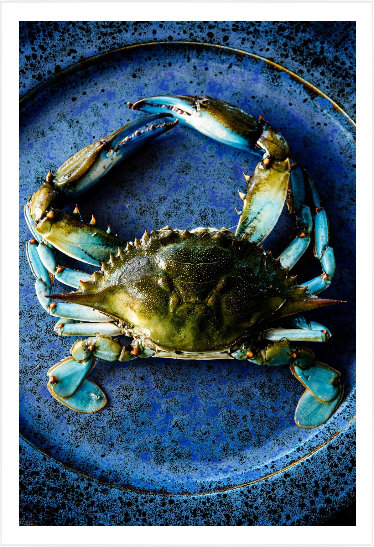 Blue Crab Blue Plate