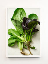 Load image into Gallery viewer, Bok Choy Portrait
