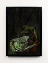 Load image into Gallery viewer, Cabbage &amp; Green Velvet
