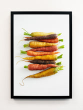 Load image into Gallery viewer, Carrots Hues
