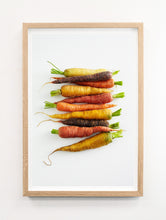 Load image into Gallery viewer, Carrots Hues
