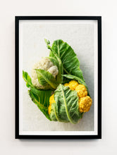 Load image into Gallery viewer, Cauliflower Portrait
