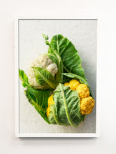 Load image into Gallery viewer, Cauliflower Portrait
