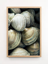 Load image into Gallery viewer, Clams
