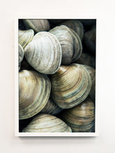 Load image into Gallery viewer, Clams
