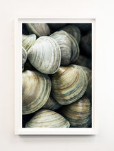 Load image into Gallery viewer, Clams
