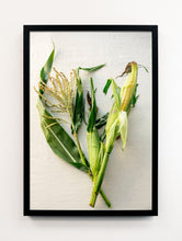 Load image into Gallery viewer, Corn Portrait
