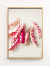 Load image into Gallery viewer, Cranberry Beans Portrait
