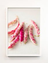 Load image into Gallery viewer, Cranberry Beans Portrait
