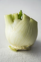 Load image into Gallery viewer, Cut Fennel Portrait
