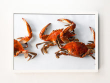 Load image into Gallery viewer, Dancing Crabs
