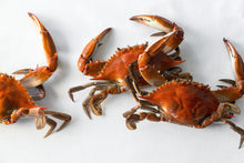 Load image into Gallery viewer, Dancing Crabs
