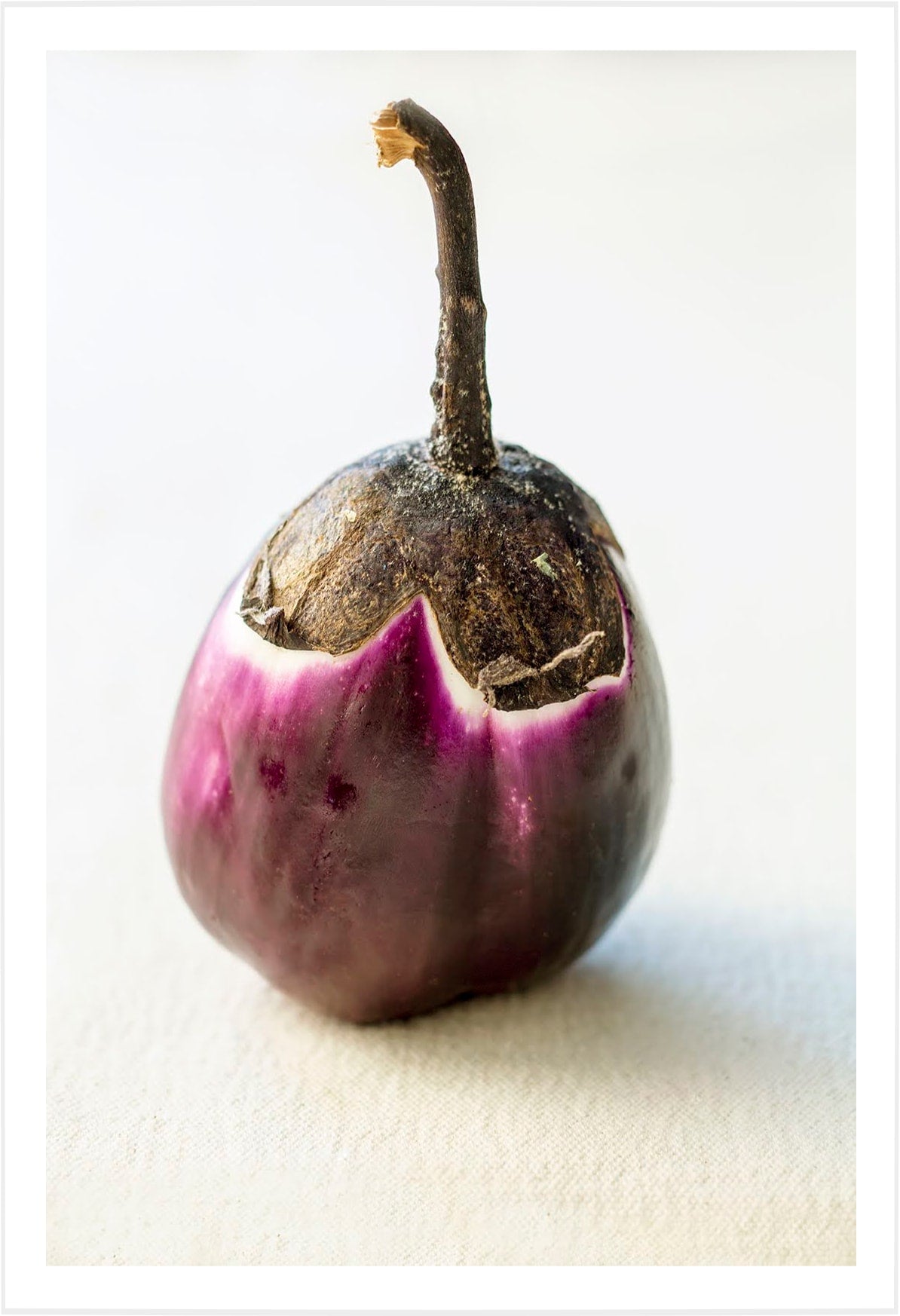 Eggplant Portrait