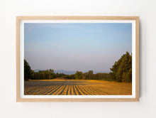 Load image into Gallery viewer, Fallow Field, Aix en Provence
