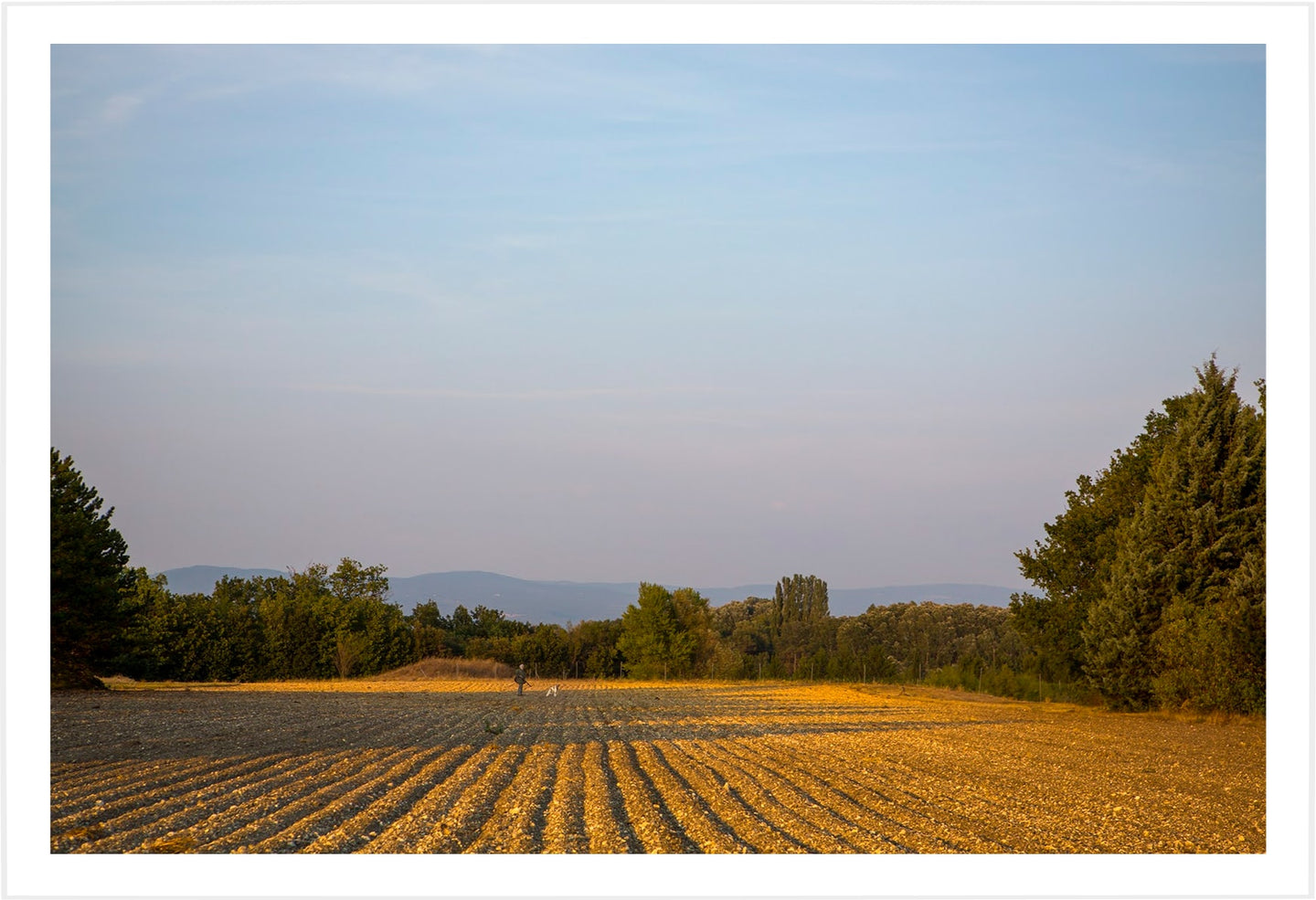 Fallow Field, Aix en Provence