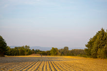 Load image into Gallery viewer, Fallow Field, Aix en Provence
