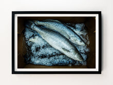 Load image into Gallery viewer, Fish on Ice
