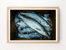 Load image into Gallery viewer, Fish on Ice
