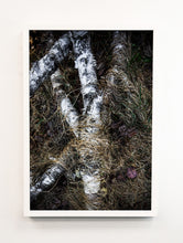 Load image into Gallery viewer, Forest Floor #1
