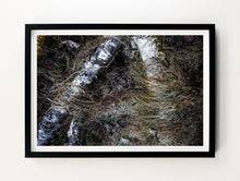 Load image into Gallery viewer, Forest Floor #2
