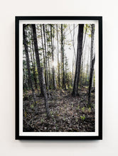 Load image into Gallery viewer, Forest Floor #3
