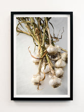 Load image into Gallery viewer, Garlic Portrait
