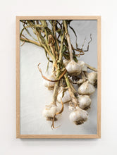 Load image into Gallery viewer, Garlic Portrait
