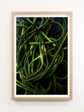 Load image into Gallery viewer, Garlic Scapes
