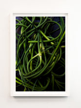 Load image into Gallery viewer, Garlic Scapes
