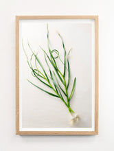 Load image into Gallery viewer, Green Onion Portrait
