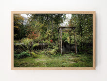 Load image into Gallery viewer, Late Autumn Garden #1
