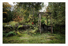 Load image into Gallery viewer, Late Autumn Garden #1
