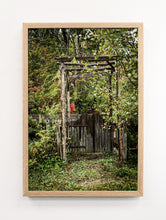 Load image into Gallery viewer, Late Autumn Garden #2
