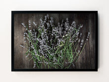 Load image into Gallery viewer, Lavender, Maine
