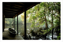 Load image into Gallery viewer, Louisiana Bayou #1

