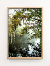 Load image into Gallery viewer, Louisiana Bayou #2
