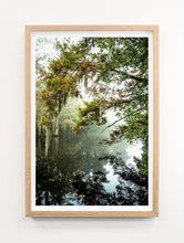 Load image into Gallery viewer, Louisiana Bayou #2
