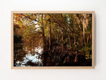 Load image into Gallery viewer, Louisiana Bayou #3
