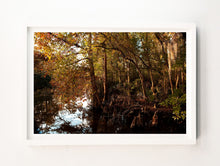Load image into Gallery viewer, Louisiana Bayou #3
