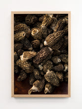 Load image into Gallery viewer, Morels
