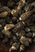 Load image into Gallery viewer, Morels
