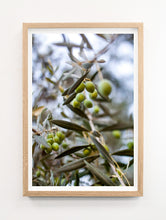 Load image into Gallery viewer, Moroccan Olives
