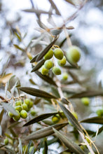 Load image into Gallery viewer, Moroccan Olives
