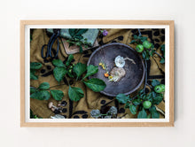 Load image into Gallery viewer, Mushroom Forage #1
