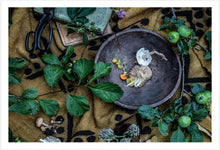 Load image into Gallery viewer, Mushroom Forage #1
