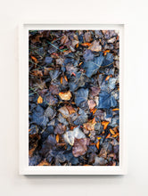 Load image into Gallery viewer, Napa Autumn Leaves

