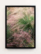 Load image into Gallery viewer, Napa Dew Grasses #1
